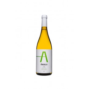 Verdejo Angela 2019