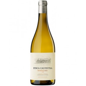 Finca Calvestra Merseguera 2021