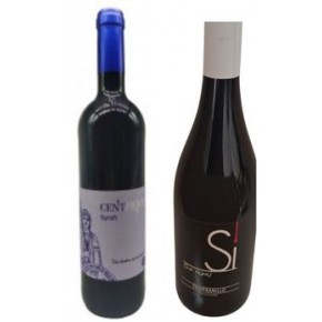 LOTE EXCLUSIVO Syrach-Tempranillo Crianza