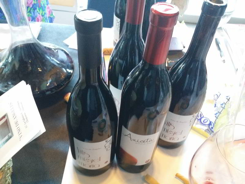 Vinos y sabores ecológicos