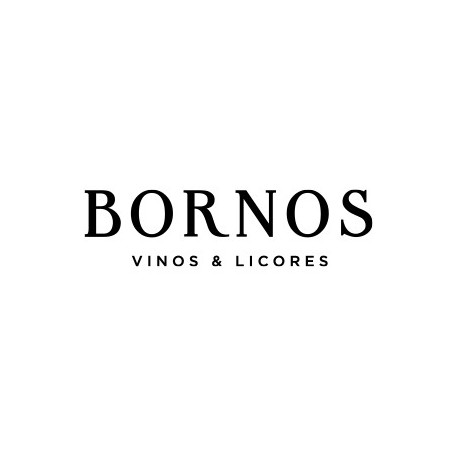 GRUPO BORNOS